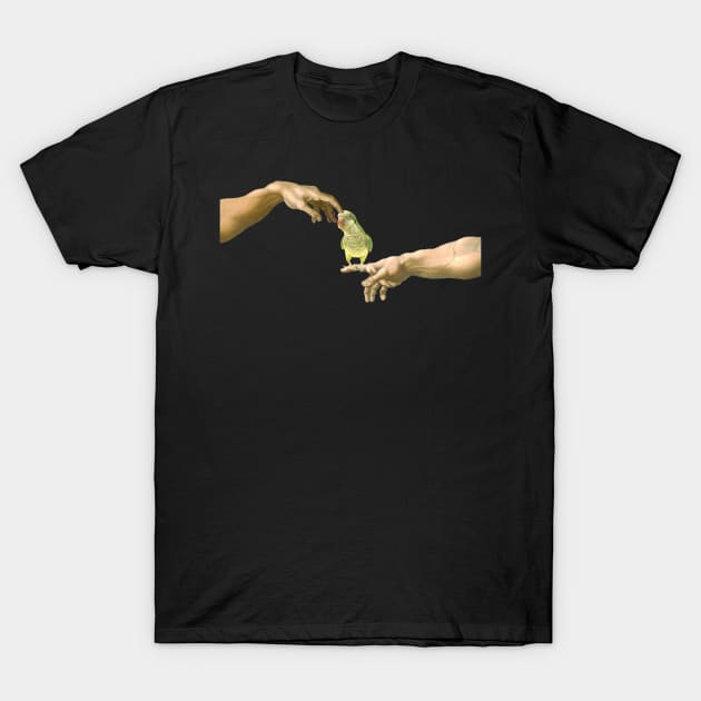 scritching a monk parakeet T-Shirt by FandomizedRose